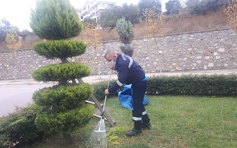 Yeşil alanlara sonbahar bakımı