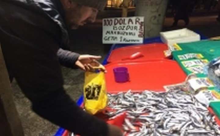 100 Dolar Bozdurana 1 Kg Hamsi Bedeva
