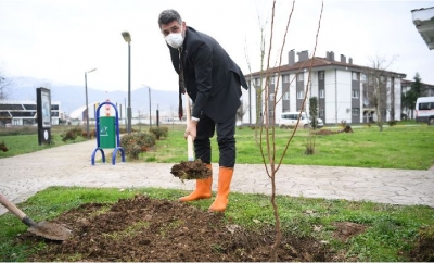 123 BİN FİDE TOPRAKLA BULUŞTU