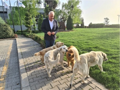 SOSYAL MEDYADA HIZLA YAYILDI