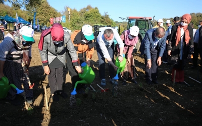 2 milyon biberiye toprakla buluştu