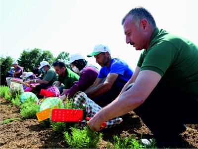 236 milyon 210 bin TL destek