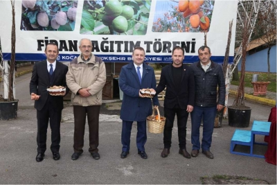 250 çiftçiye, 20 bin ceviz ve hurma fidanı dağıtıldı