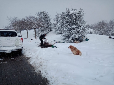 55 AYRI NOKTADA DAĞITIM