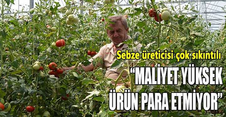 “Maliyet yüksek, ürün para etmiyor”