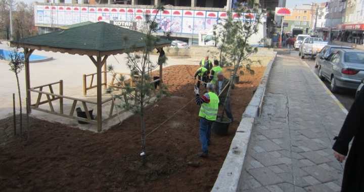 Dilovası’nda ağaçlandırma çalışmaları devam ediyor