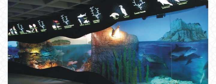 Darıca'ya  Deniz Müzesi
