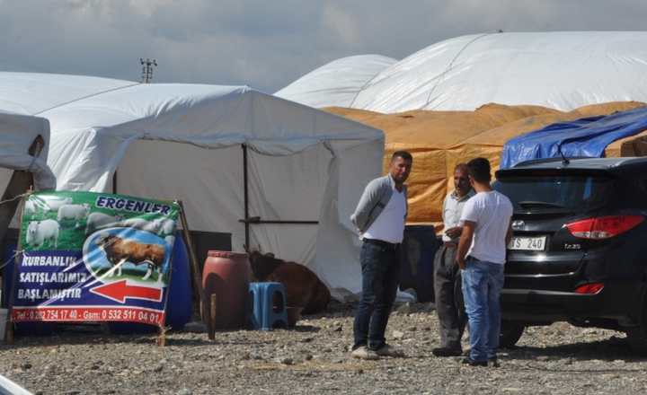 Dilovası hayvan pazarı bayrama hazır