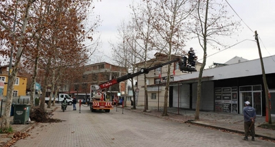 Ağaçlara budama ve bakım yapıldı