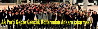 Ak Parti Gebze Gençlik Kollarından Ankara çıkarması