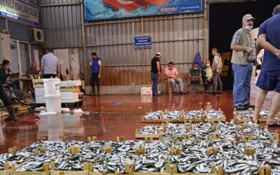 Balık halinde sezonun ilk düdüğü çaldı