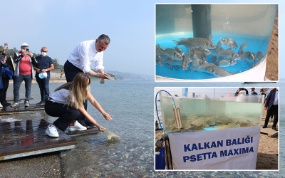 Balıklar bu kez Darıca sahilinden denize salındı