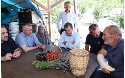 Başkan Büyükakın çilek hasadına katıldı
