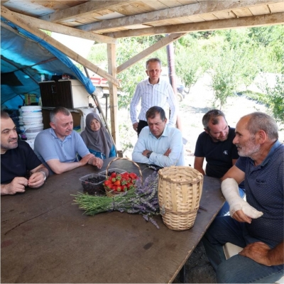 Başkan Büyükakın çilek hasadına katıldı