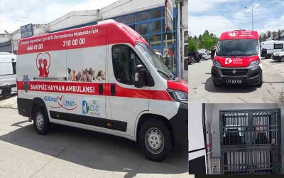Başkan Hürriyet’ten sokaktaki dostlarımıza hayvan ambulansı