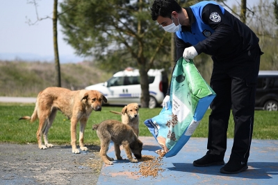 BAŞKAN KOCAMAN “ONLAR BİZİM CAN DOSTLARIMIZ”