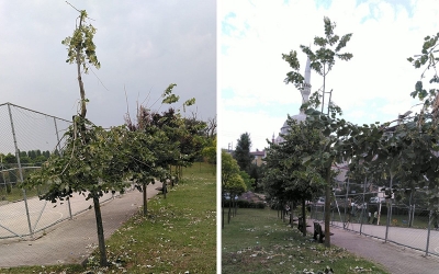 Bilinçsiz vatandaşları uyardı!