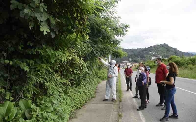 Böceksavar Mantarlar Görev Başında