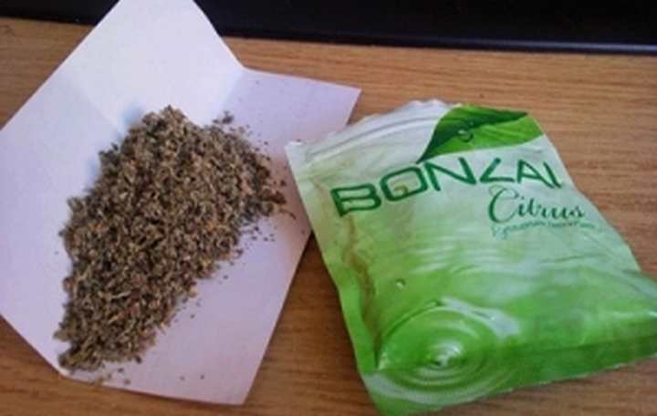 Bonzai can aldı.