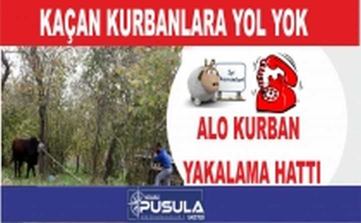 Bu Time İhtiyaç olacak