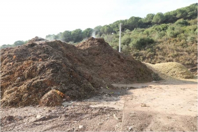 Budanan dallar tekrar doğaya kazandırılıyor