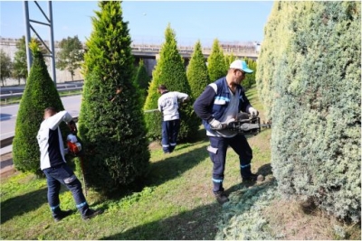 Büyükşehir, daha yeşil Kocaeli için sahada