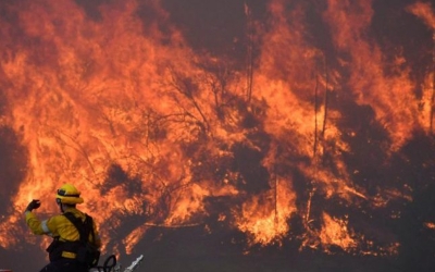 BÜYÜMEDEN SÖNDÜRÜLDÜ