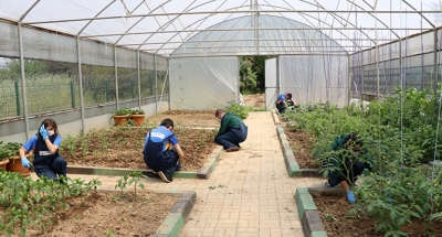 Cemil Meriç’te tarımsal rehabilitasyon