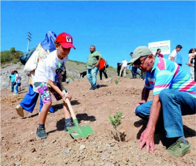 Çınarlarımızdan Hatıra Ormanı