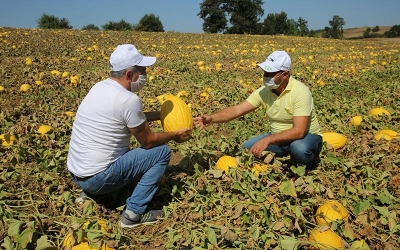 “ÇOK FAZLA TALEP VAR”