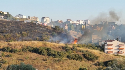 Darıca'da makilik alanda yangın!