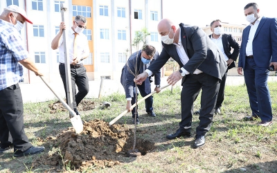 Darıca’da okul bahçelerine fidan dikiliyor