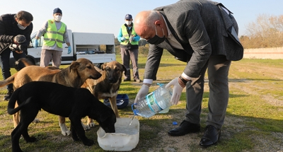 Darıca’da sokak hayvanlarına 14 ton mama desteği
