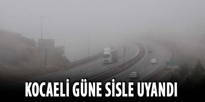 Kocaeli güne sisle uyandı