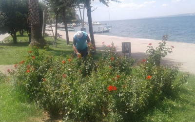 Değirmendere sahilindeki parklar sürekli bakımdan geçiyor