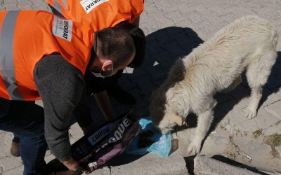 Demokrat Parti Gençlik Kollarından örnek davranış