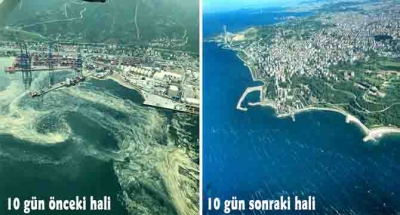 Deniz salyalarından temizlenen Körfez eski haline dönüyor