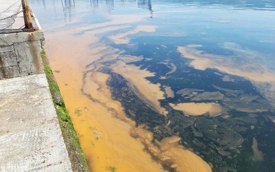 “Denizdeki tabaka doğal bir olay”