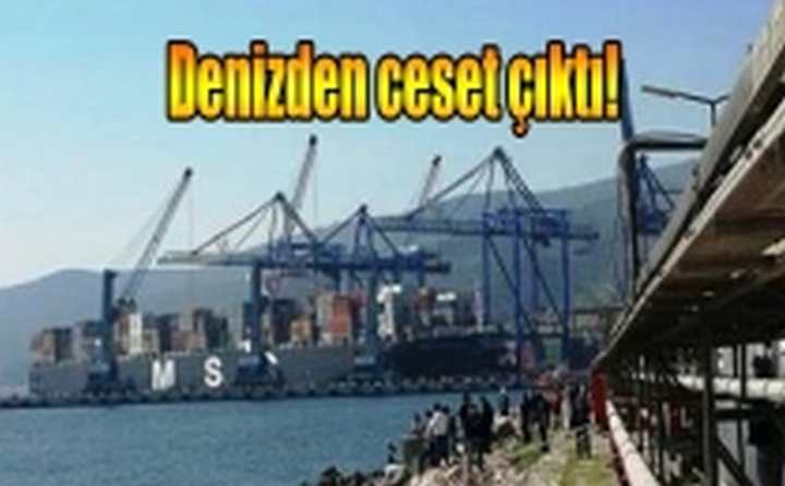 Denizden bakın ne çıktı!