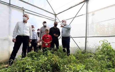 Destekler verimli ürünlere dönüştü