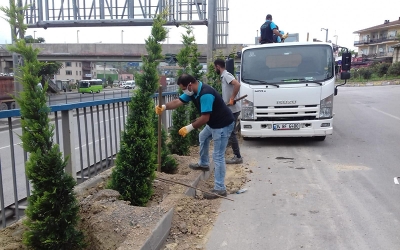 Dilovası Eynerce kavşağı yeşillendiriliyor