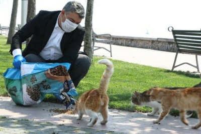 Dilovası’nda, sokak hayvanları unutulmadı