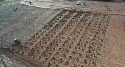 Dolgu alanından mesire alanına
