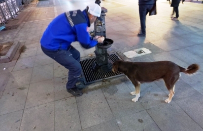 Elleriyle köpeğe su içirdi, gönülleri fethetti