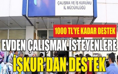  Evden çalışmak isteyenlere İŞKUR'dan destek! 