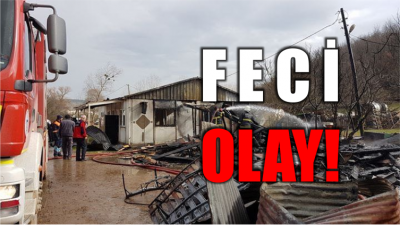 Feci Olay!