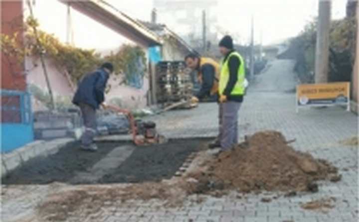 Fen İşlerinden Parke Çalışmaları