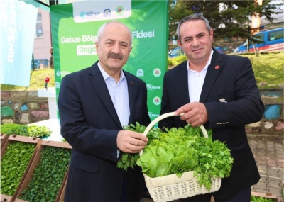 Gebze Bölgesi Sebze Fidesi Dağıtım Töreni Kadıllı’da Gerçekleşti