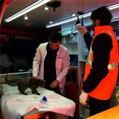 Gebze ekipleri Defne’de çalışmalarını sürdürüyor