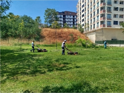 Gebze Tatlıkuyu Vadisi Kent Parkı'na düzenli bakım